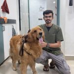 dr mayur jadav dr mayur jadav